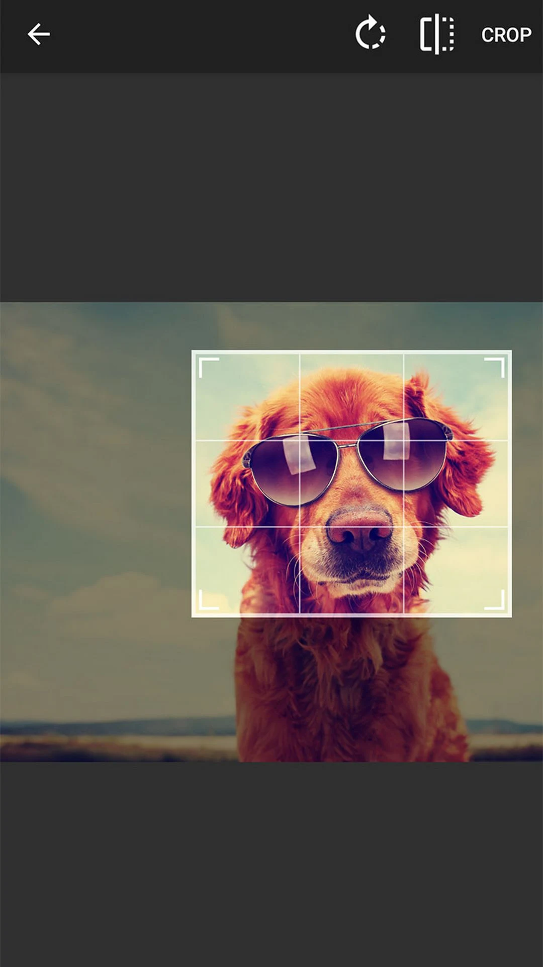 Photo Resizer - Resize & Crop screenshot